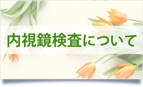 内視鏡検査について
