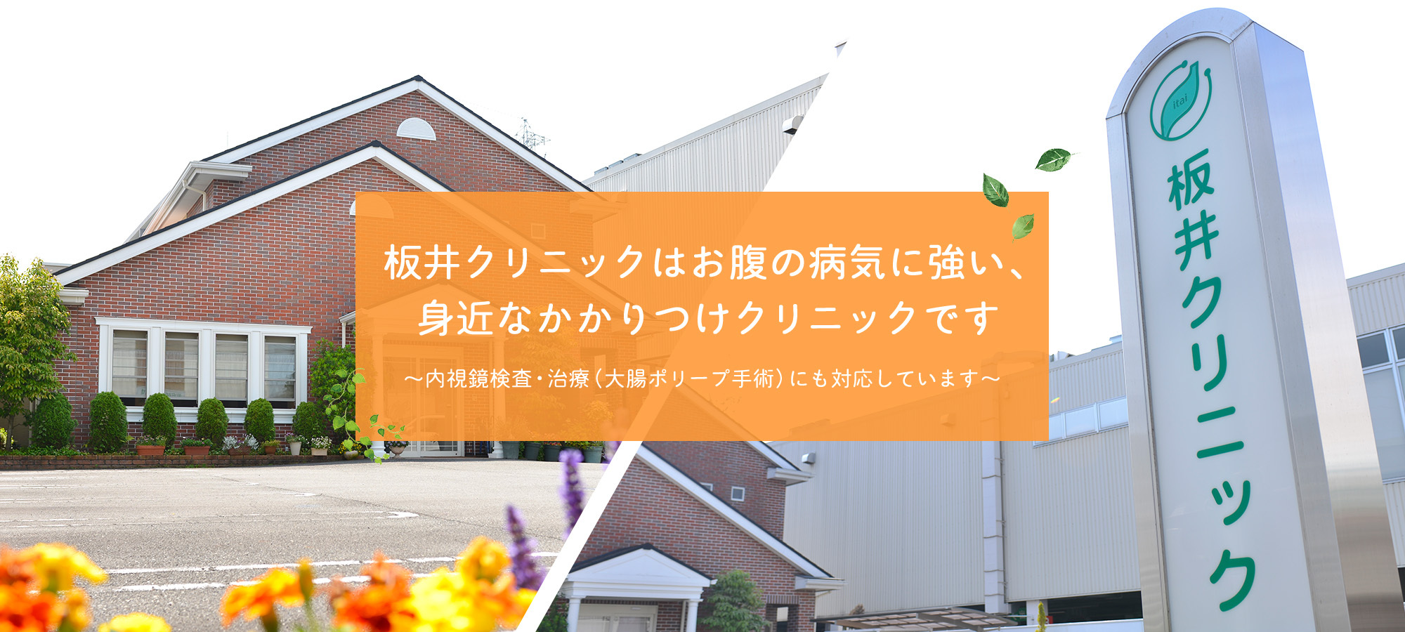 板井クリニックは専門性が高い、身近なかかりつけクリニックです